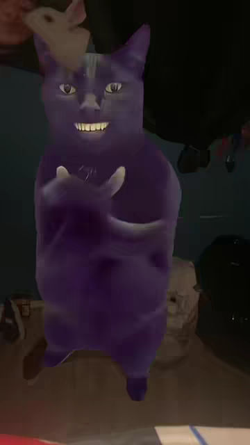 Cat Clapping Meme